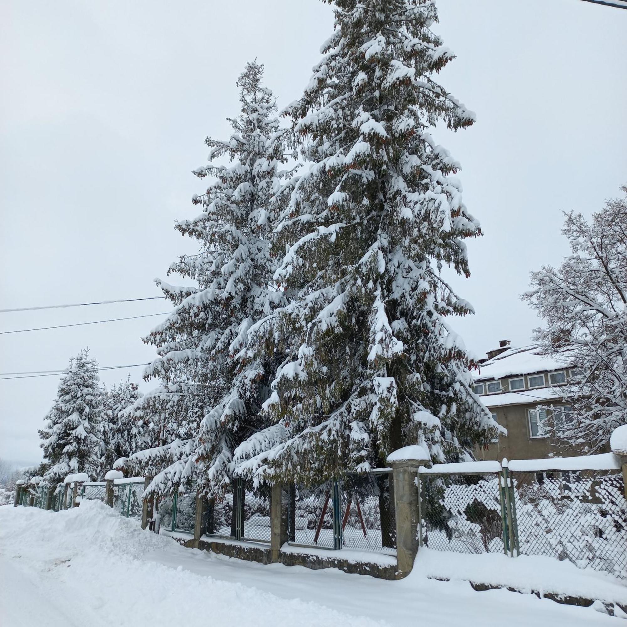 Apartamenty Na Szlaku Czarny Dunajec Exterior photo
